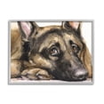 thumbnail image 1 of Stupell Industries Tired German Shepherd Dog Resting Head On Paw Painting Gray Framed Art Print Wall Art, Design by George Dyachenko, 1 of 8