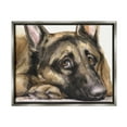 thumbnail image 1 of Stupell Industries Tired German Shepherd Dog Resting Head On Paw Painting Luster Gray Floating Framed Canvas Print Wall Art, Design by George Dyachenko, 1 of 9