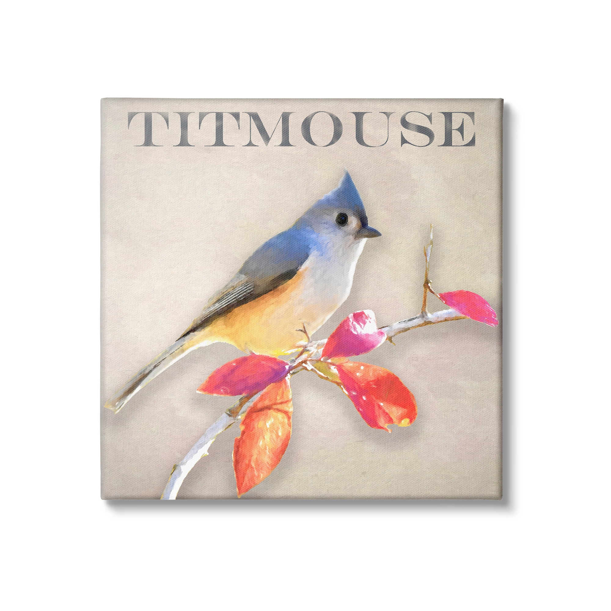 Stupell Industries Titmouse Bird Perched Vivid Plant Leaves Typography Graphic Art Gallery Wrapped Canvas Print Wall Art, Design by Alpenglow Workshop