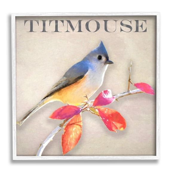 Stupell Industries Titmouse Bird Perched Vivid Plant Leaves Typography Graphic Art White Framed Art Print Wall Art, Design by Alpenglow Workshop