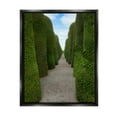 thumbnail image 1 of Stupell Industries Topiary Trees Hedge Pathway Landscape Photography Black Floater Framed Art Print Wall Art, 1 of 6