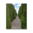 thumbnail image 1 of Stupell Industries Topiary Trees Hedge Pathway Landscape Photography Gallery Wrapped Canvas Print Wall Art, 1 of 5