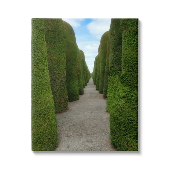 Stupell Industries Topiary Trees Hedge Pathway Landscape Photography Gallery Wrapped Canvas Print Wall Art