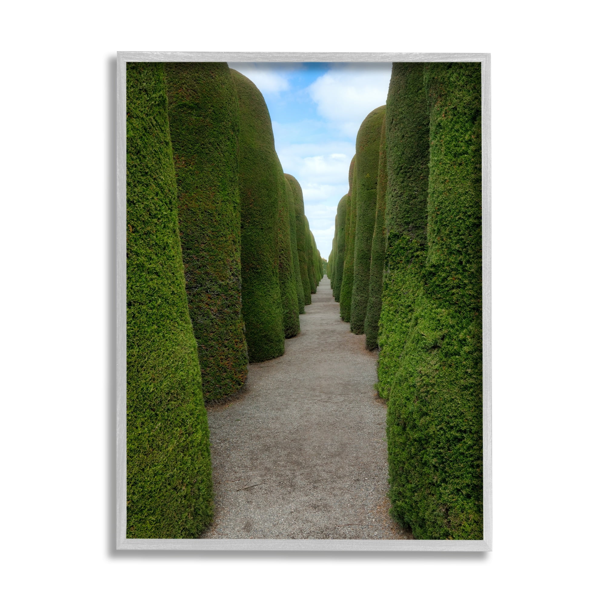 Stupell Industries Topiary Trees Hedge Pathway Landscape Photography Gray Framed Art Print Wall Art