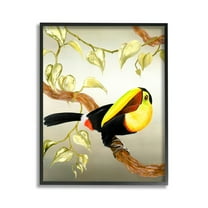 Stupell Industries Toucan Perched on Branch Animals & Insects Painting Black Framed Art Print Wall Art, 11 x 14