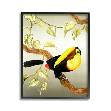Stupell Industries Toucan Perched on Branch Animals & Insects Painting Black Framed Art Print Wall Art, 11 x 14