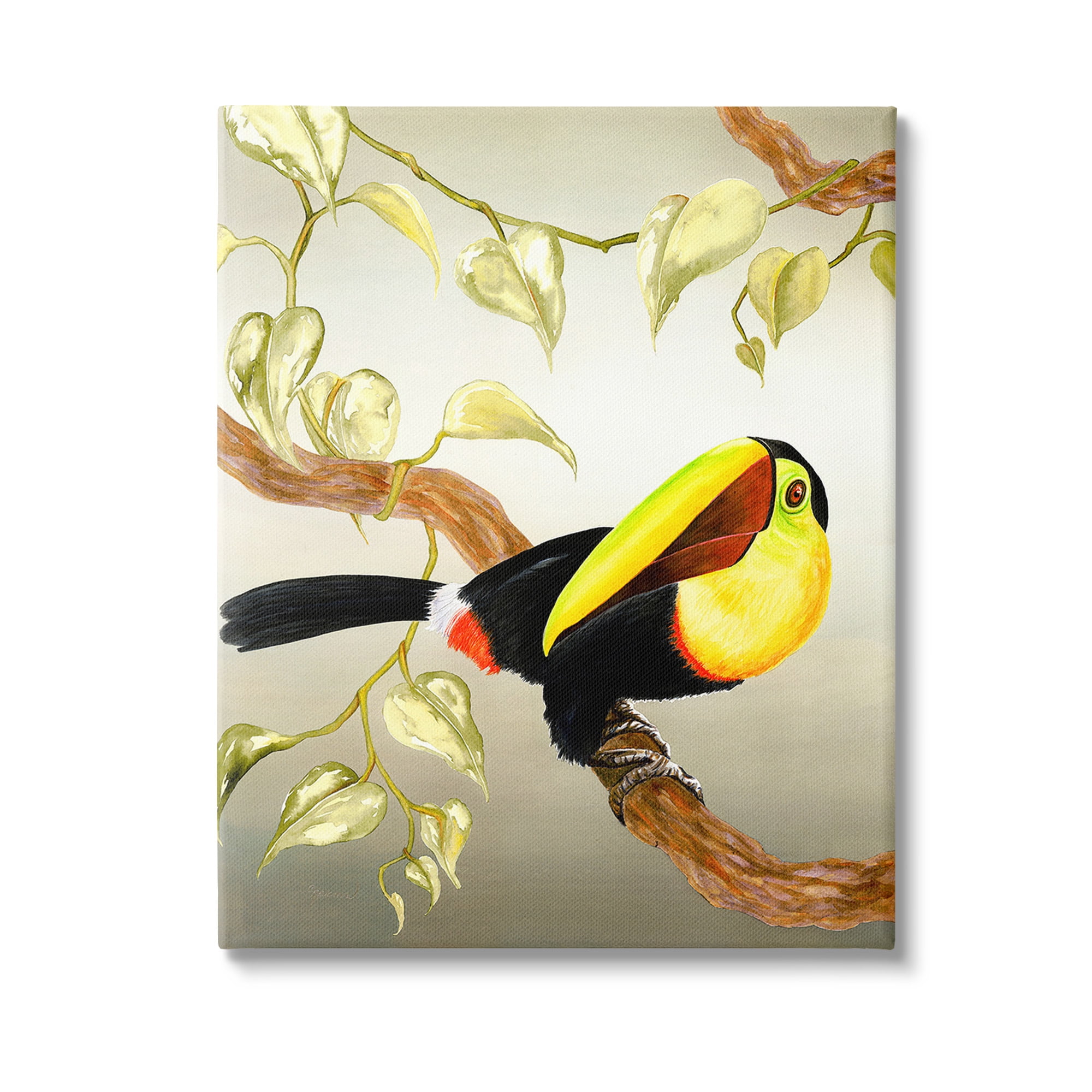 Stupell Industries Toucan Perched on Branch Animals & Insects Painting Gallery Wrapped Canvas Art Print Wall Art, 16 x 20