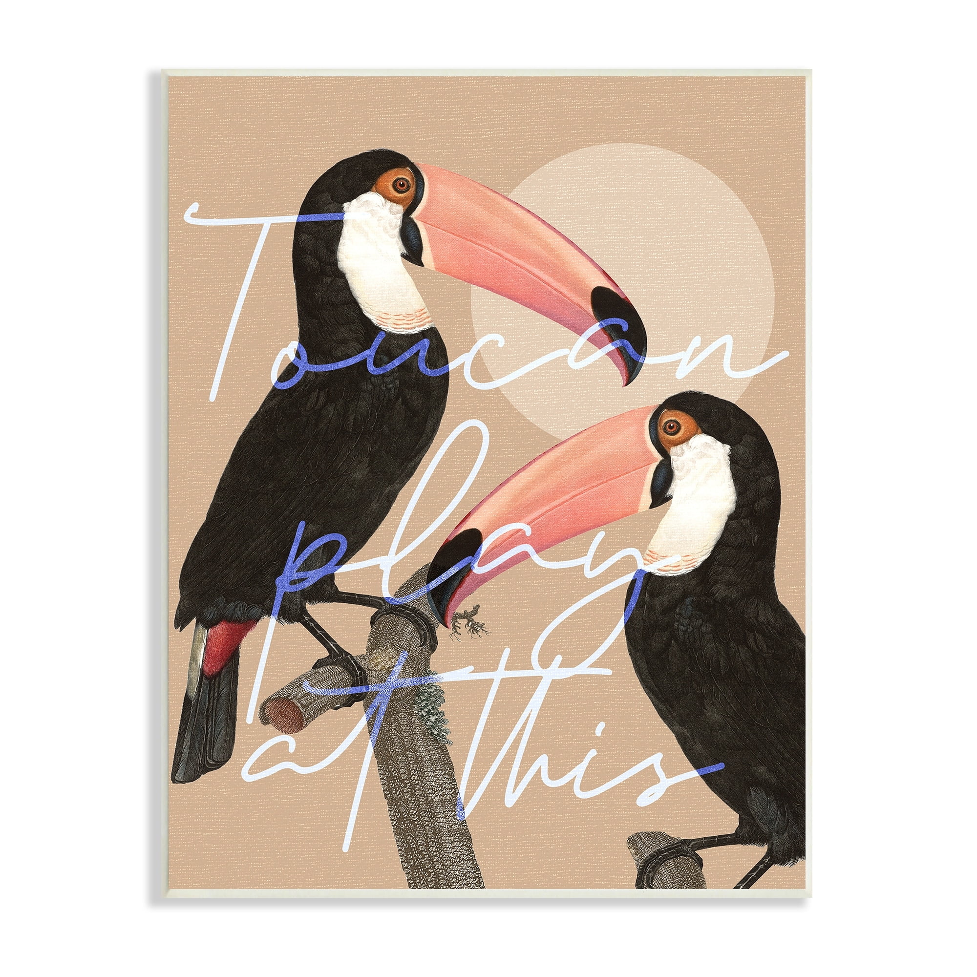 Stupell Industries Toucan Play at This Funny Phrase Tropical Birds, 10 x 15,Design by Daphne Polselli