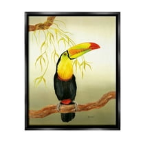 Stupell Industries Toucan on Forest Branch Animals & Insects Painting Black Floater Framed Canvas Art Print Wall Art, 17 x 21
