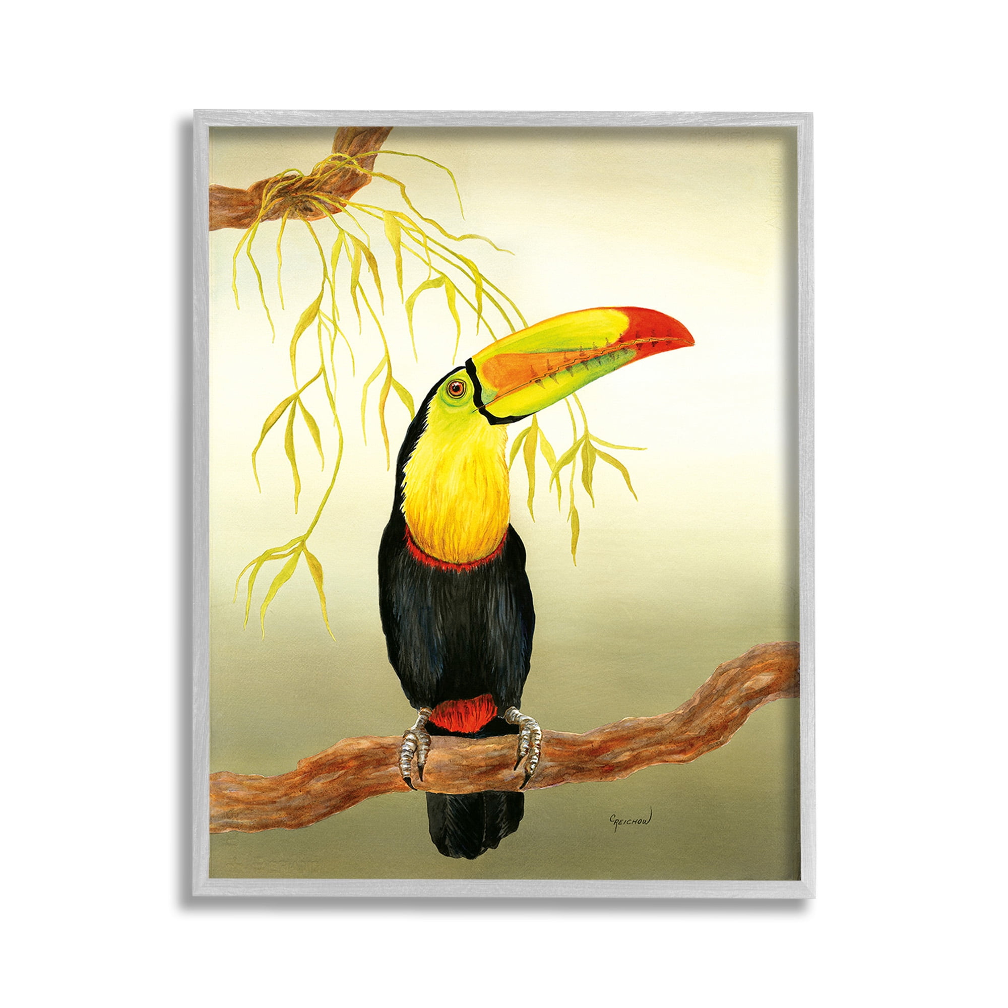 Colorful Toucan on Branch Canvas Print with Gray Frame, 11 x 14
