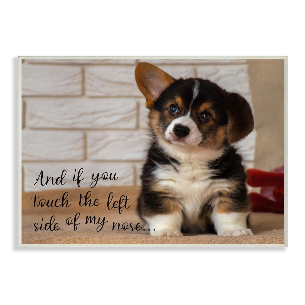 Stupell Industries Touch Left Side of My Nose Cute Puppy Dog Quote Wall Plaque Design by Ziwei Li