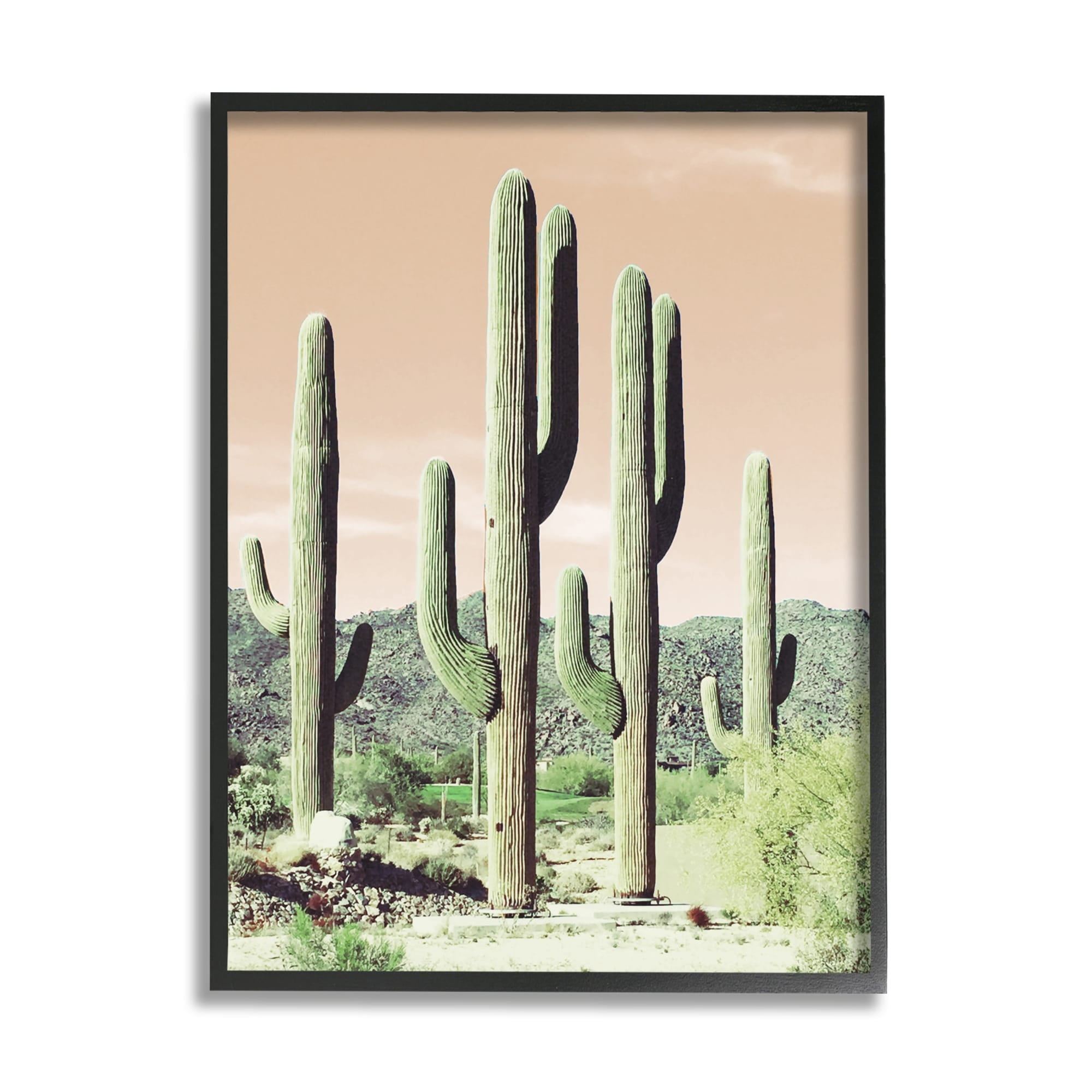 Stupell Industries Towering Cactus Plants Arid Desert Vegetation Nature Photograph Black Framed Art Print Wall Art, Design by Susan Bryant