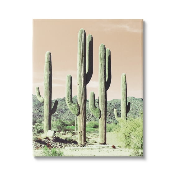 Stupell Industries Towering Cactus Plants Arid Desert Vegetation Nature Photograph Gallery Wrapped Canvas Print Wall Art, Design by Susan Bryant