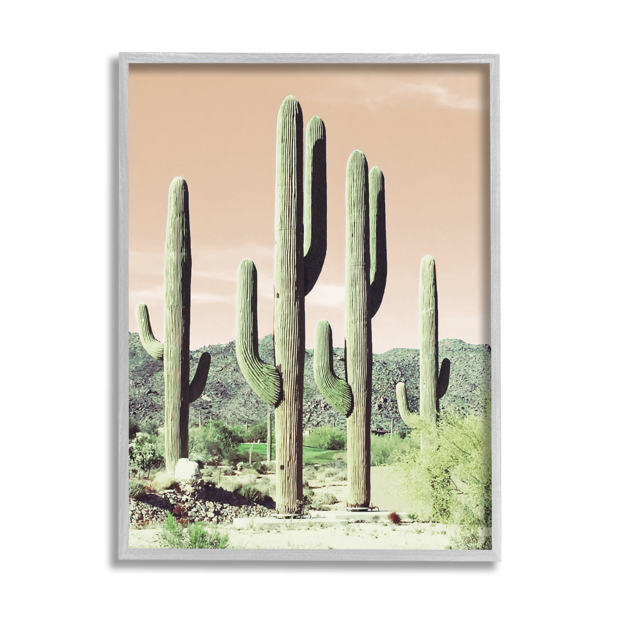 Stupell Industries Towering Cactus Plants Arid Desert Vegetation Nature Photograph Gray Framed Art Print Wall Art, Design by Susan Bryant