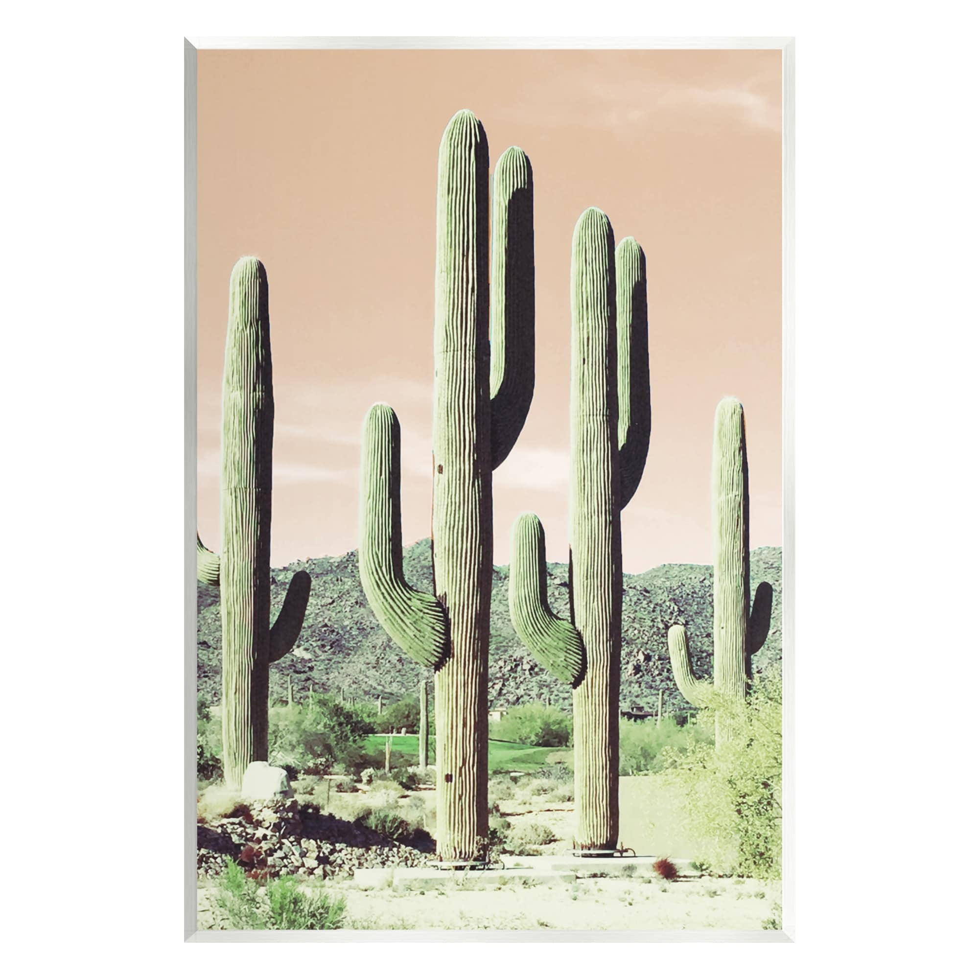 Stupell Industries Towering Cactus Plants Arid Desert Vegetation Nature Photograph Unframed Art Print Wall Art, Design by Susan Bryant