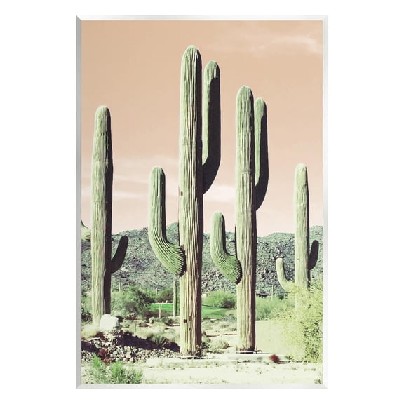 Stupell Industries Towering Cactus Plants Arid Desert Vegetation Nature Photograph Unframed Art Print Wall Art, Design by Susan Bryant