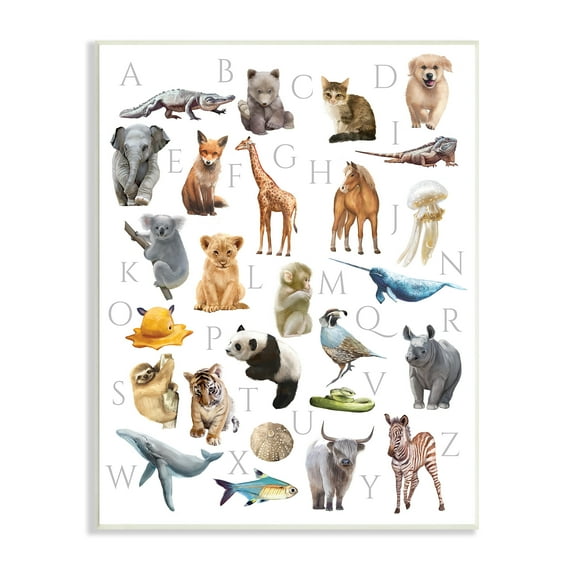 Stupell Industries Traditional ABC Alphabet Animals of the World, 10 x 15, Designed by Ziwei Li