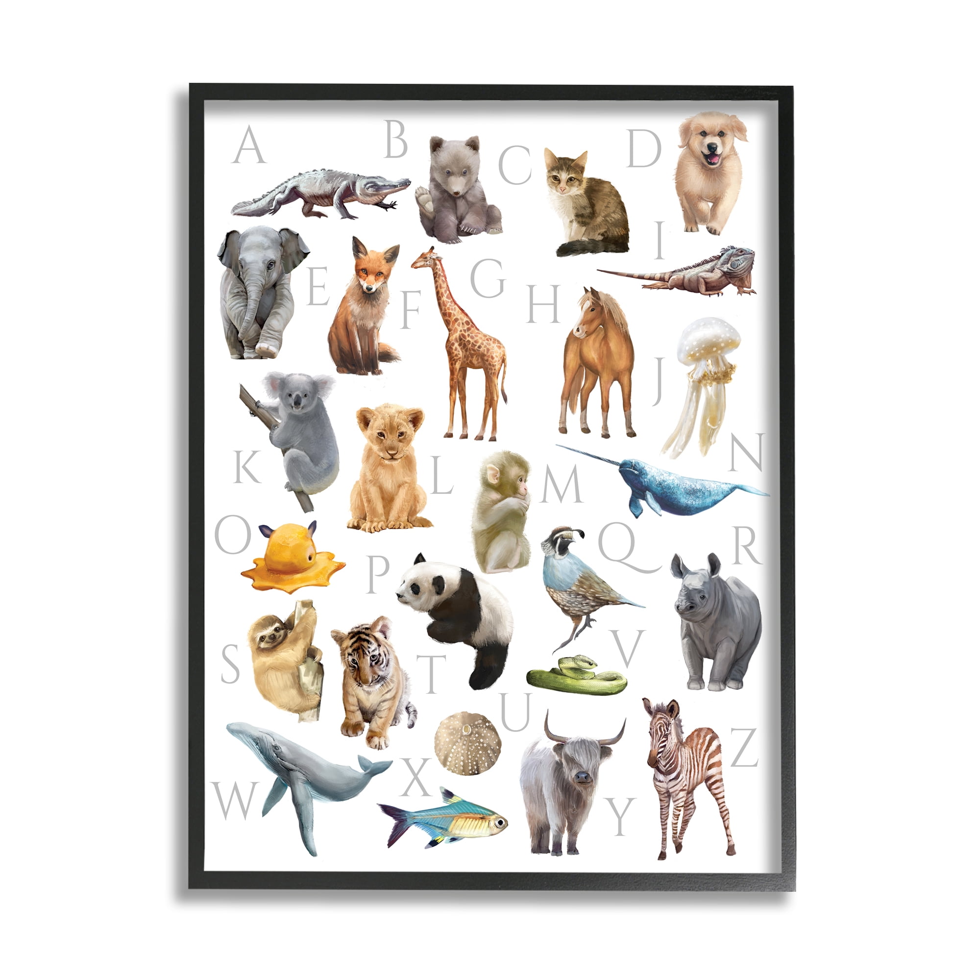 Stupell Industries Traditional ABC Alphabet Animals of the World, 16 x 20, Designed by Ziwei Li