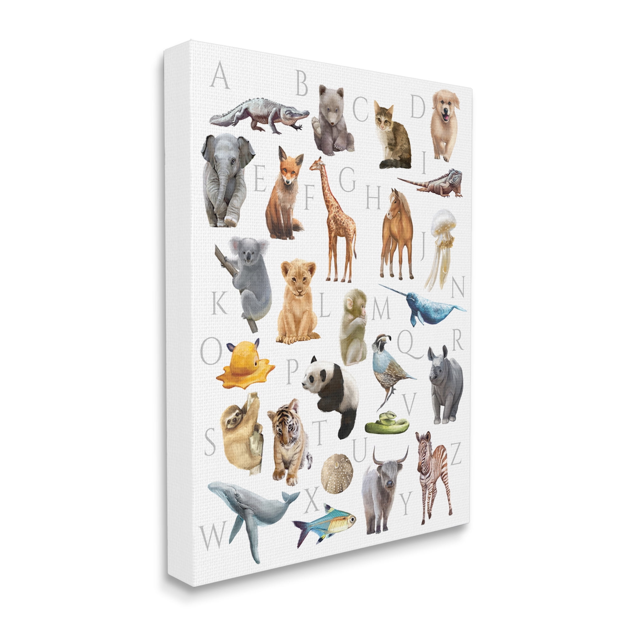 Stupell Industries Traditional ABC Alphabet Animals of the World, 24 x 30, Designed by Ziwei Li