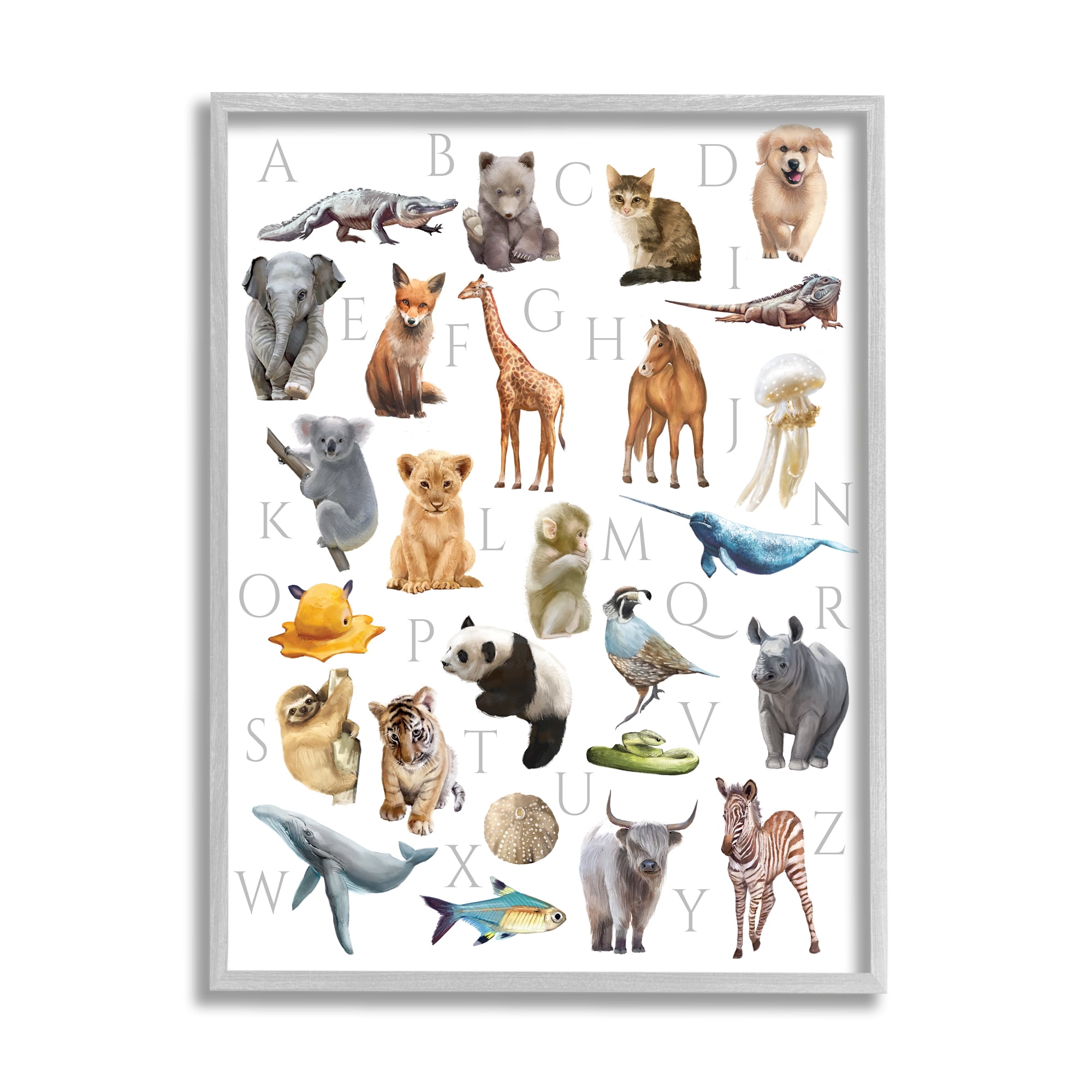 Stupell Industries Traditional ABC Alphabet Animals of the World Graphic Art Gray Framed Art Print Wall Art, 11x14, by Ziwei Li