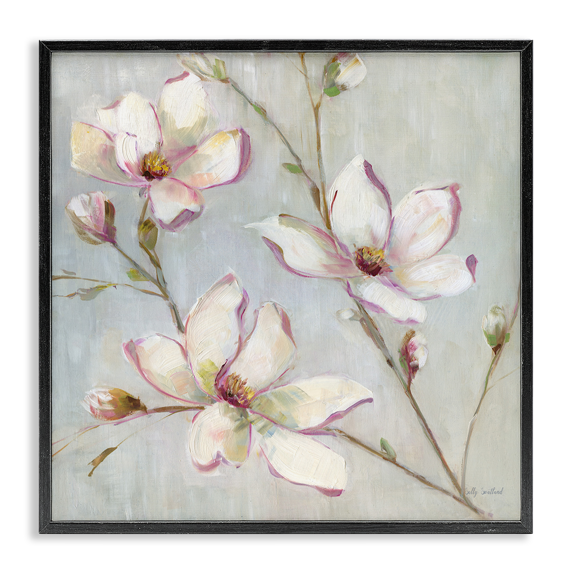 Stupell Industries Traditional Apple Blossoms Botanical & Floral Painting Black Framed Art Print Wall Art, 24 x 24