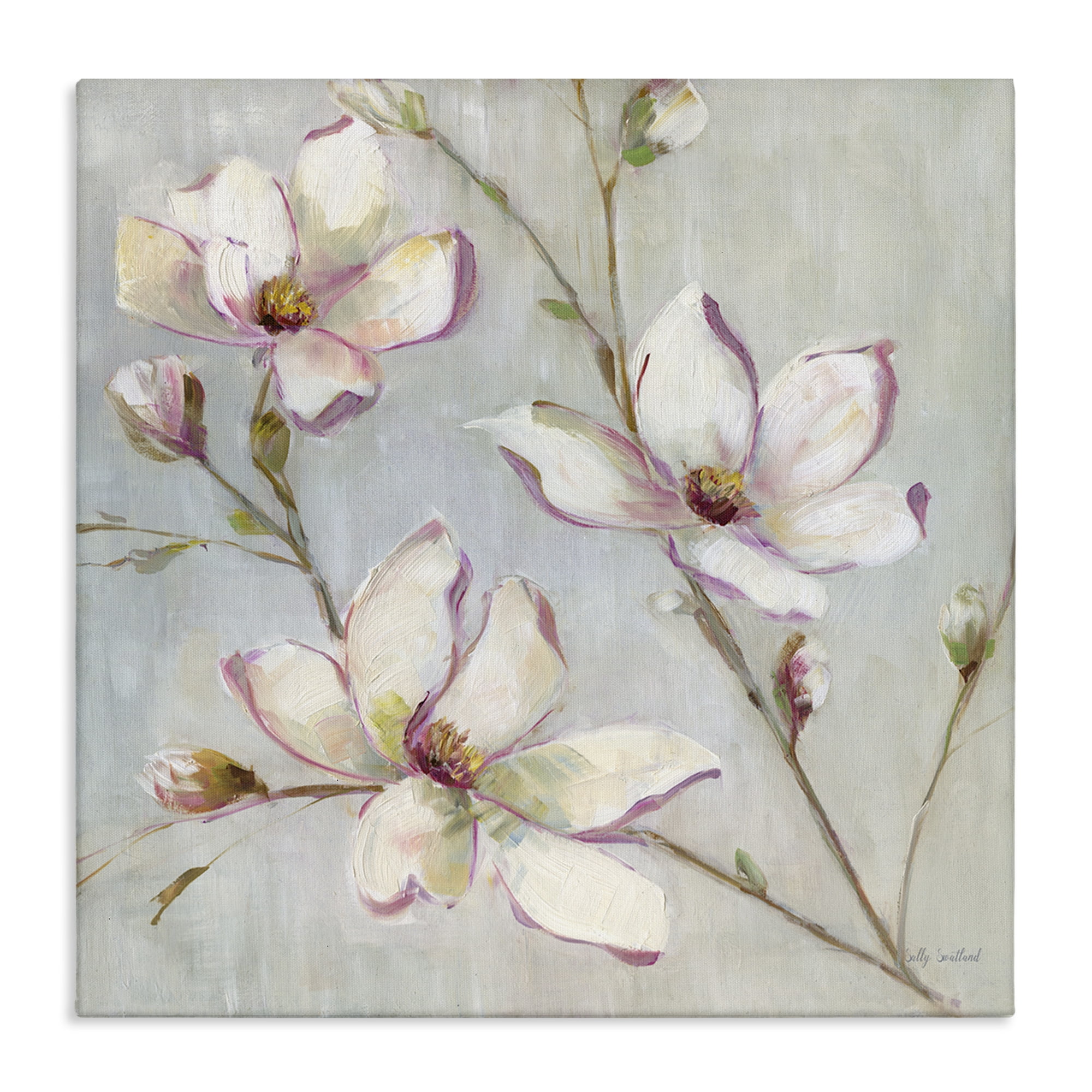 Stupell Industries Traditional Apple Blossoms Botanical & Floral Painting Gallery Wrapped Canvas Art Print Wall Art, 17 x 17