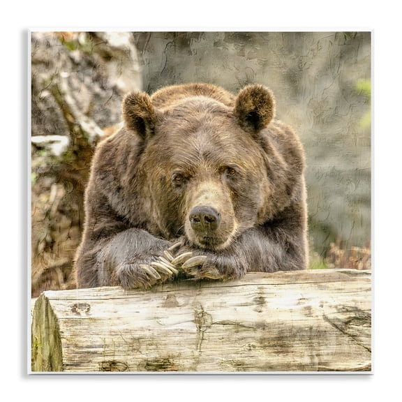 Stupell Industries Traditional Bear Resting on Log Wall Plaque Art, 12 x 12, by Kim Allen