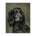thumbnail image 1 of Stupell Industries Traditional Black Cocker Spaniel Canvas Art, 16 x 20, by Victoria Barnes, 1 of 8