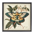 thumbnail image 1 of Stupell Industries Traditional Black Floating Frame Canvas Art, 25 x 25, by Steve Hunziker, 1 of 8