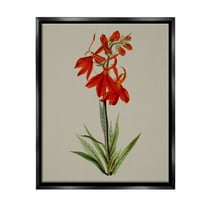 Stupell Industries Traditional Blossom Study Botanical & Floral Painting Black Floater Framed Canvas Art Print Wall Art, 17 x 21