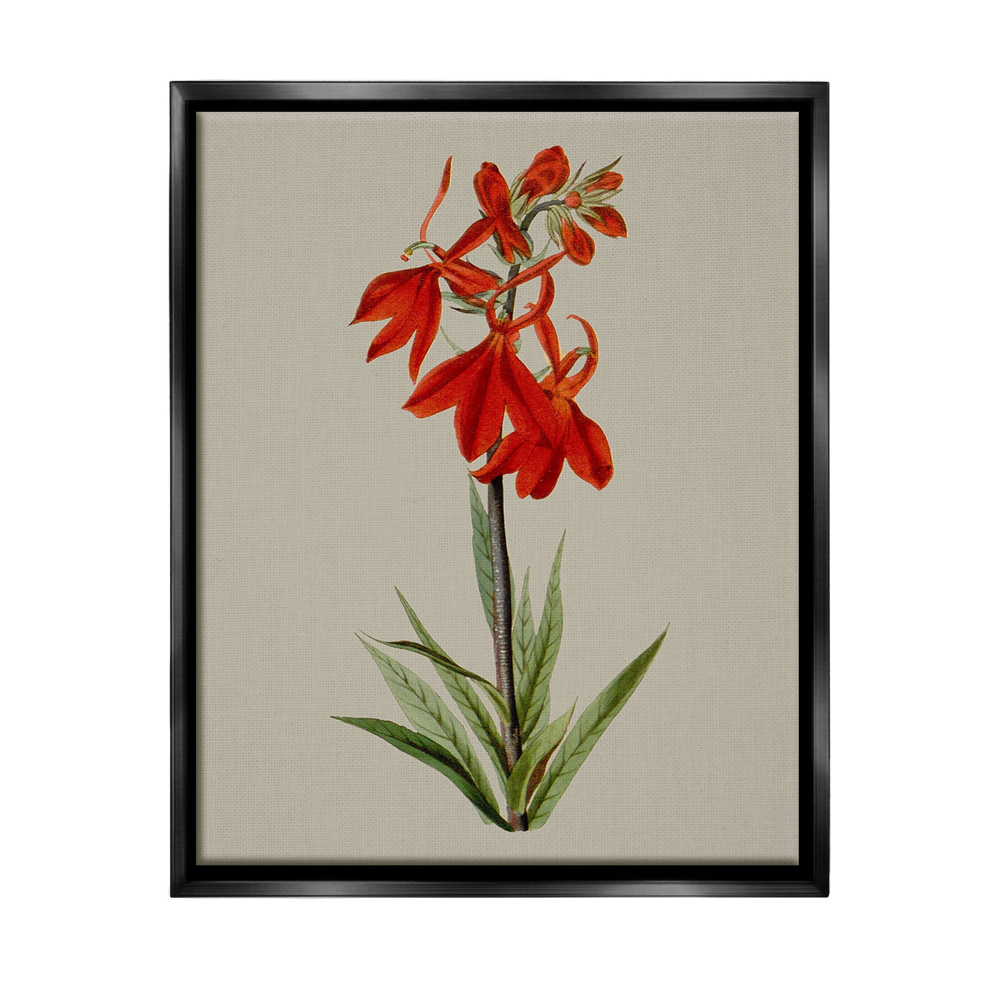 Stupell Industries Traditional Blossom Study Botanical & Floral Painting Black Floater Framed Canvas Art Print Wall Art, 25 x 31