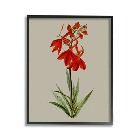 Stupell Industries Traditional Blossom Study Botanical & Floral Painting Black Framed Art Print Wall Art, 11 x 14