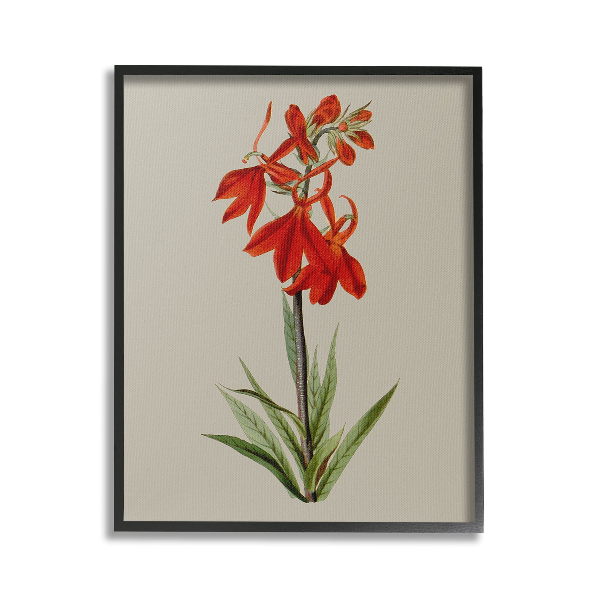 Stupell Industries Traditional Blossom Study Botanical & Floral Painting Black Framed Art Print Wall Art, 24 x 30