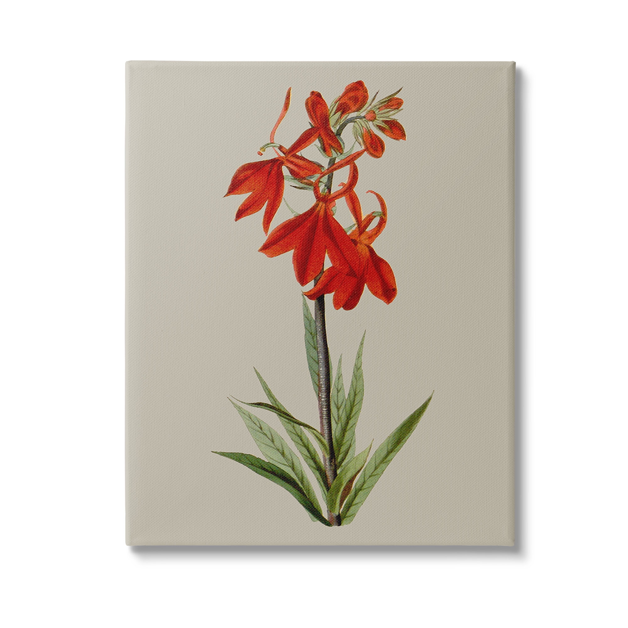Stupell Industries Traditional Blossom Study Botanical & Floral Painting Gallery Wrapped Canvas Art Print Wall Art, 16 x 20