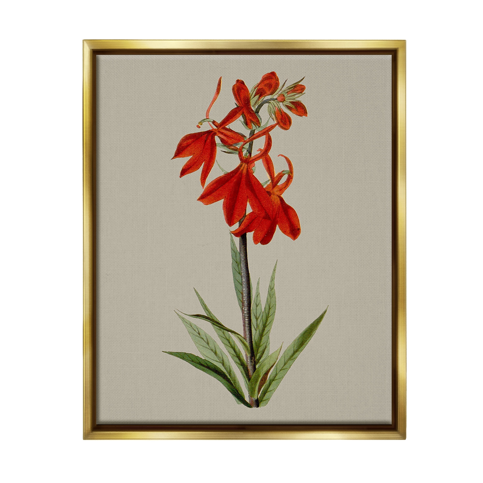 Stupell Industries Traditional Blossom Study Botanical & Floral Painting Gold Floater Framed Canvas Art Print Wall Art, 25 x 31