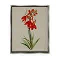 thumbnail image 1 of Stupell Industries Traditional Blossom Study Botanical & Floral Painting Gray Floater Framed Canvas Art Print Wall Art, 17 x 21, 1 of 10
