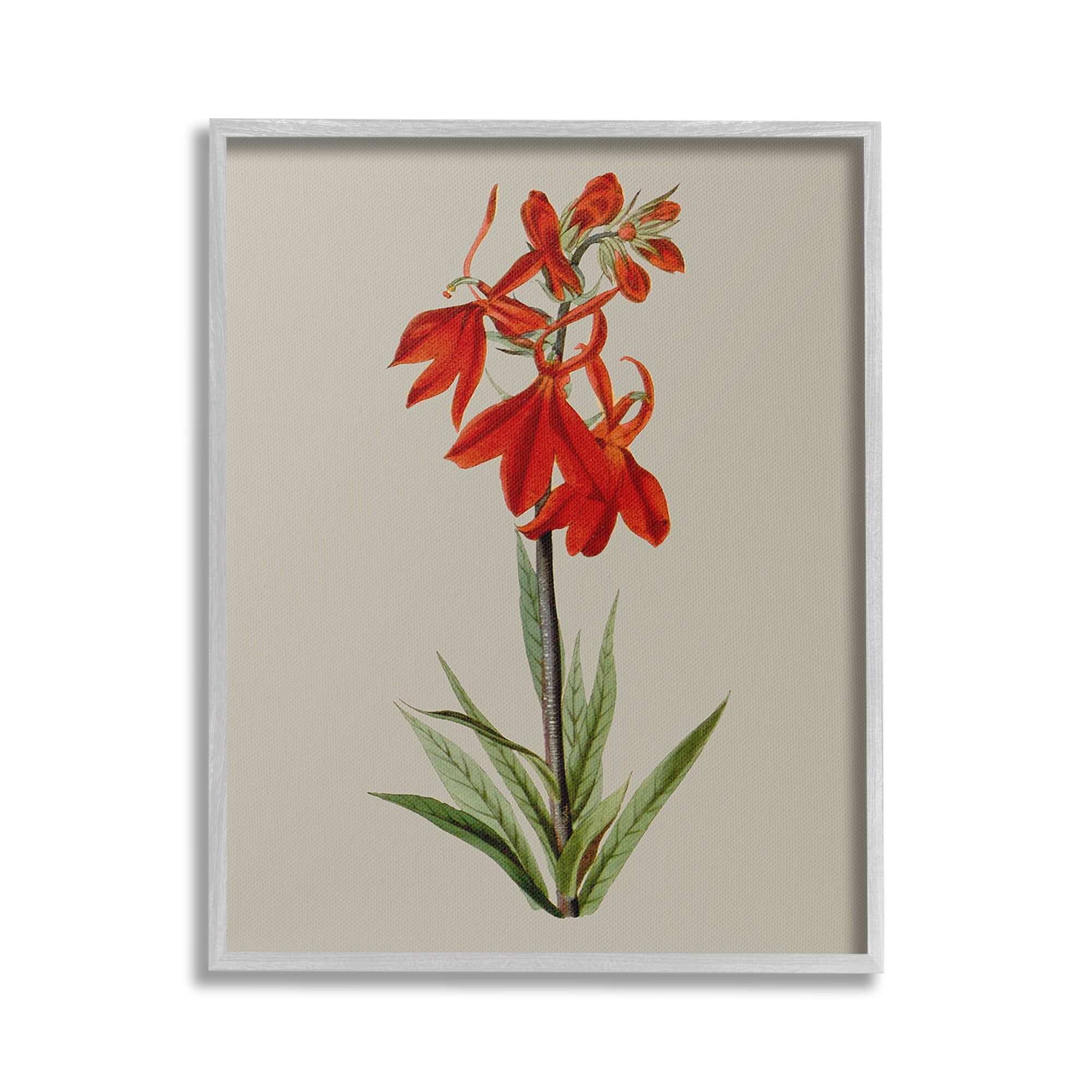 Stupell Industries Traditional Blossom Study Botanical & Floral Painting Gray Framed Art Print Wall Art, 16 x 20