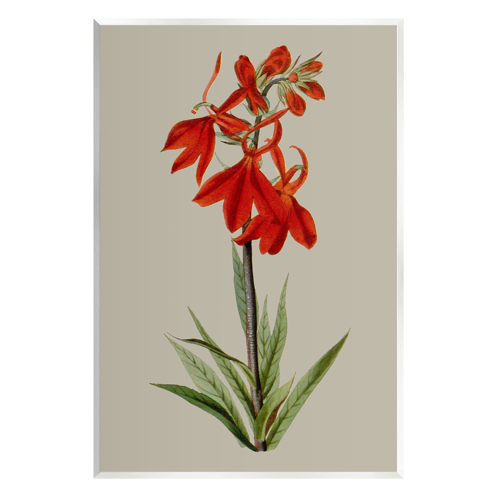 Stupell Industries Traditional Blossom Study Botanical & Floral Painting Unframed Art Print Wall Art, 10 x 15