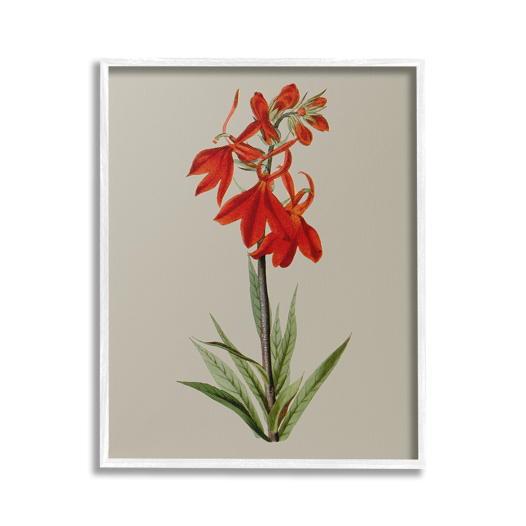 Stupell Industries Traditional Blossom Study Botanical & Floral Painting White Framed Art Print Wall Art, 24 x 30