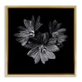 thumbnail image 1 of Stupell Industries Traditional Blossom Trio on Black Gold Floating Frame Canvas Art, 25 x 25, by Brian Carson, 1 of 8