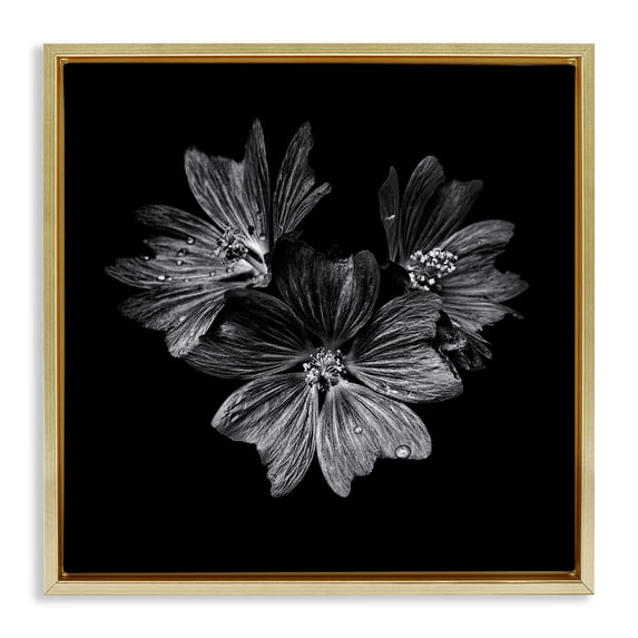 Stupell Industries Traditional Blossom Trio on Black Gold Floating Frame Canvas Art, 25 x 25, by Brian Carson