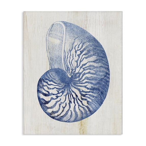 Stupell Industries Traditional Blue Nautilus Shell Canvas Art, 16 x 20, by Susan Arnot