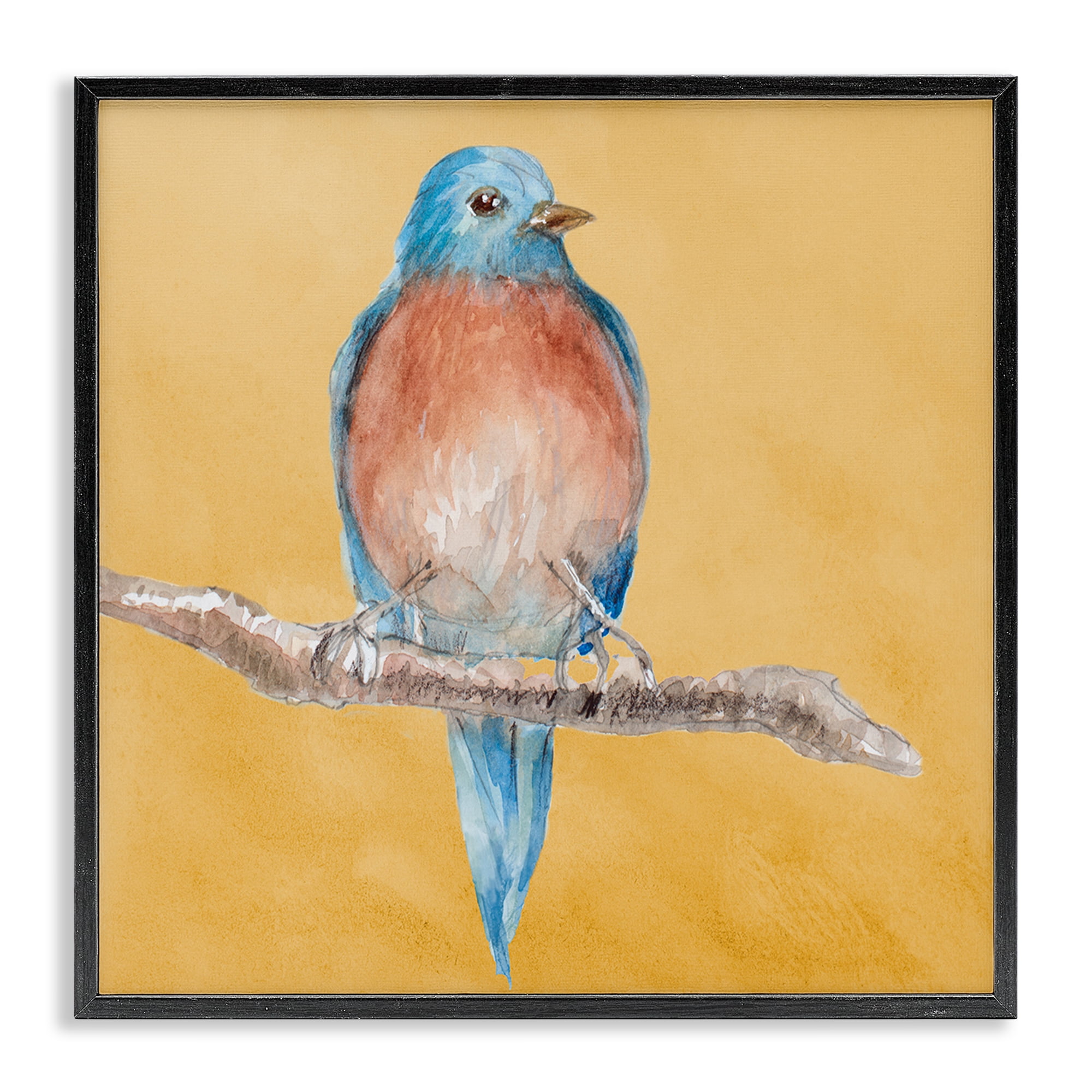 Stupell Industries Traditional Bluebird Perched Animals & Insects Painting Black Framed Art Print Wall Art, 12 x 12