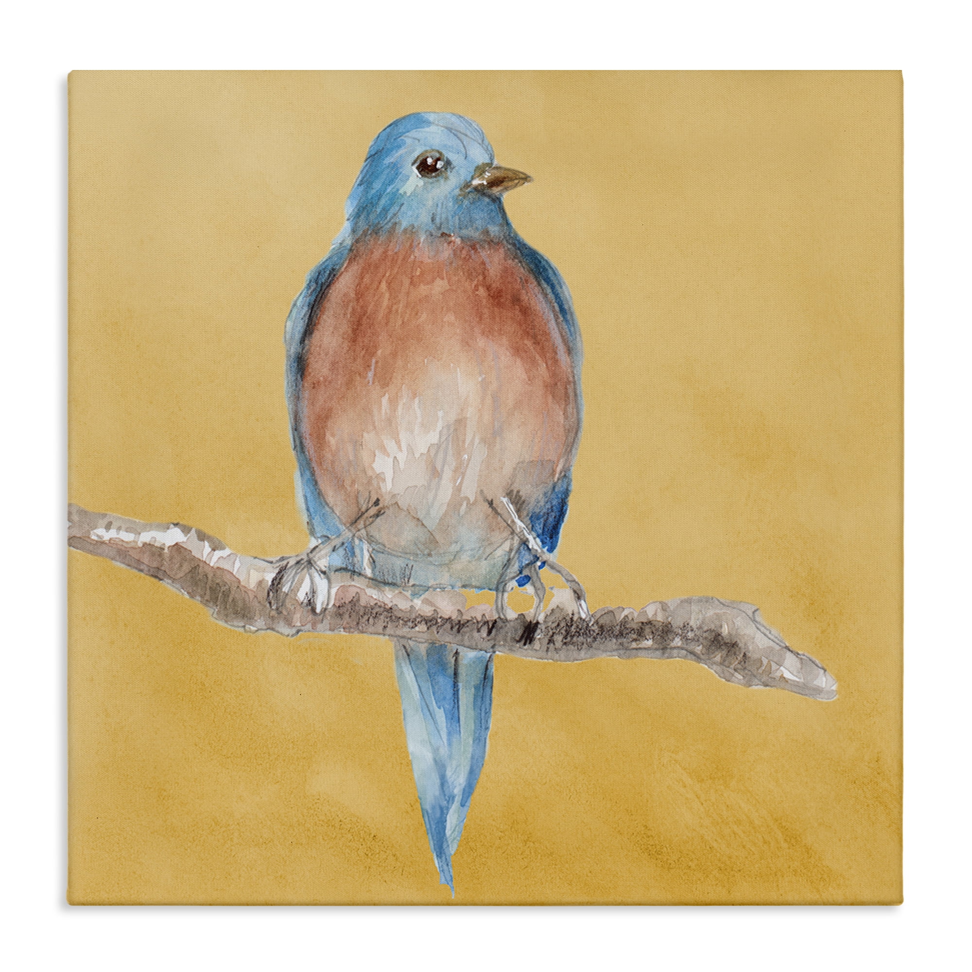 Stupell Industries Traditional Bluebird Perched Animals & Insects Painting Gallery Wrapped Canvas Art Print Wall Art, 30 x 30