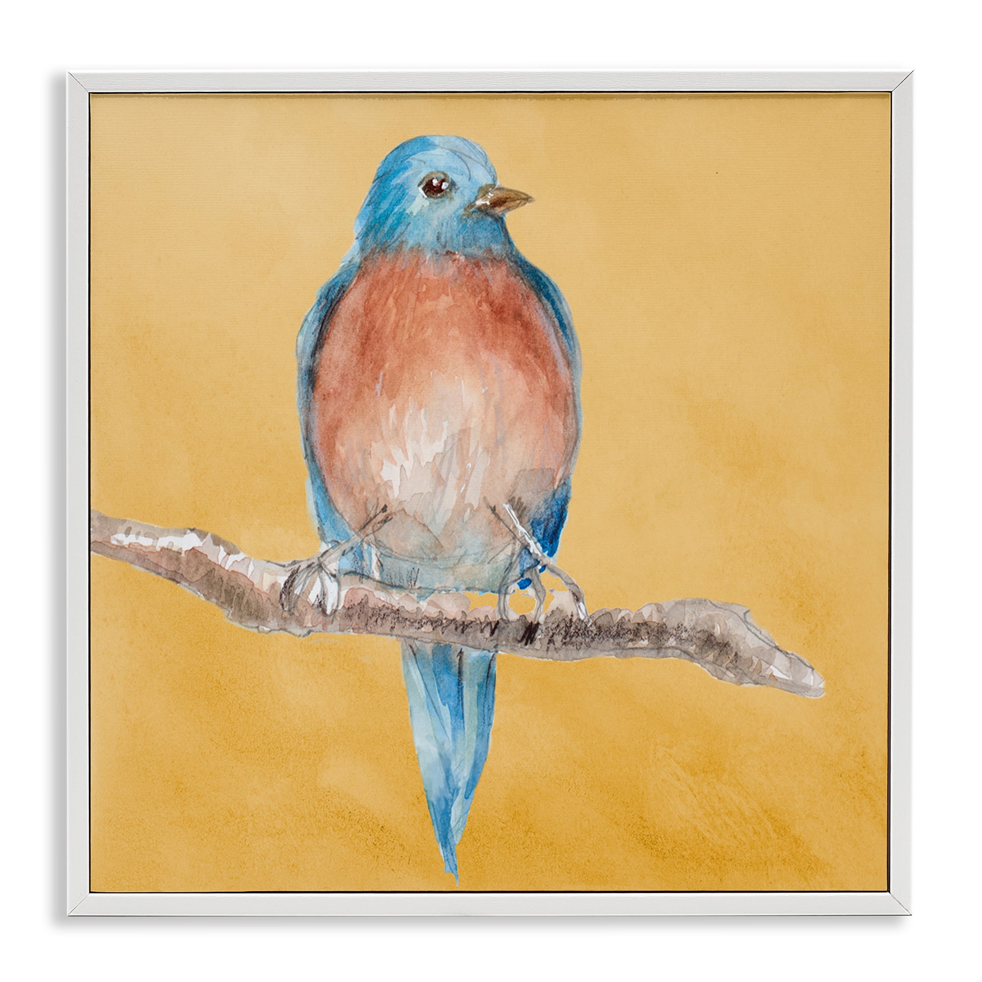 Stupell Industries Traditional Bluebird Perched Animals & Insects Painting White Framed Art Print Wall Art, 24 x 24
