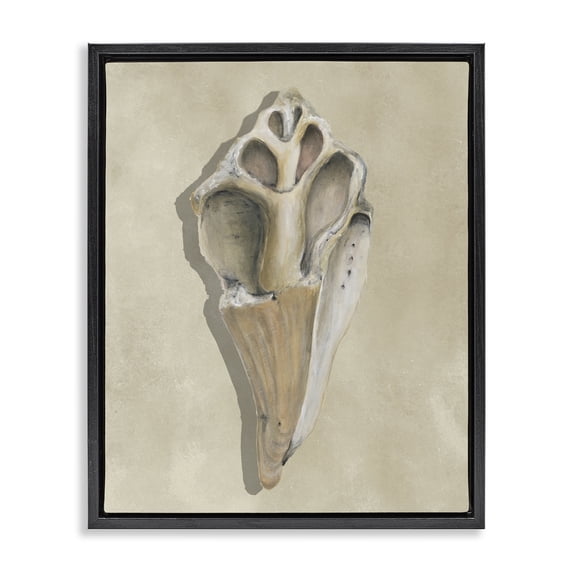 Stupell Industries Traditional Broken Conch Shell Black Floating Frame Canvas Art, 17 x 21, by Michael Willett