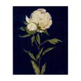 thumbnail image 1 of Stupell Industries Traditional Budding Rose Blossoms Canvas Art, 24 x 30, by Liz Jardine, 1 of 7