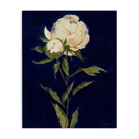 Stupell Industries Traditional Budding Rose Blossoms Canvas Art, 24 x 30, by Liz Jardine