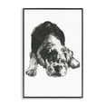 thumbnail image 1 of Stupell Industries Traditional Bulldog Drawing Portrait Black Framed Giclee Art, 20 x 30, by cartissi, 1 of 8