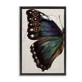 thumbnail image 1 of Stupell Industries Rustic Lodge Traditional Butterfly Wing Black Floating Frame Canvas Art, 17 x 25, by Melissa Wang, 1 of 8